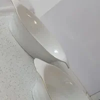 دو عدد ظروف چینی مرغ خوری نو