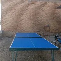 میز پینگ پنگ