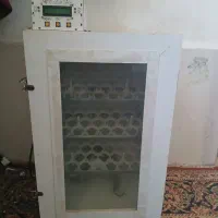 بسلسلسلس