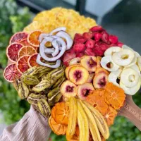 دستگاه خشک کن میوه،سبزی،t25ffزیر قیمت بازار
