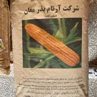 بذر ذرت|عمدهفروشی|میاندوآب, |دیوار