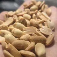 بادام زمینی کره گیری
