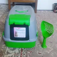 ظرف خاک گربه
