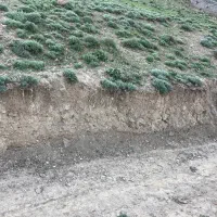 خرید-زمسن-رویایی-در-نمارستاق