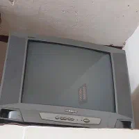 تلوزیون