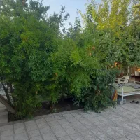 250-متر-زمین-شهرک-دودمان