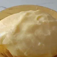 کره حیوانی