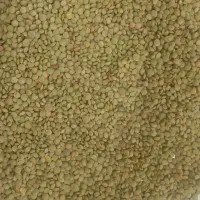 عدس طبیعی