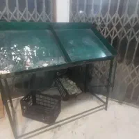 فروش پالت به علت تغییر شغل