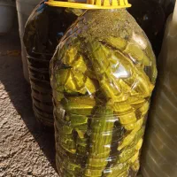 خیار شور ریز قلمی درجه یک