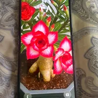 Samsung z Flip5|موبایل|اصفهان, بهار آزادی|دیوار