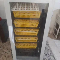 دستگاه جوجه کشی ققنوس