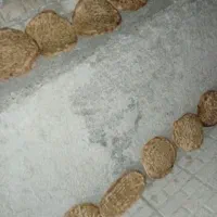 نان خشک درجه یک