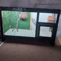 قفس چوبی داخل ال ادی