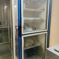 فریزر ایستاده دو درب