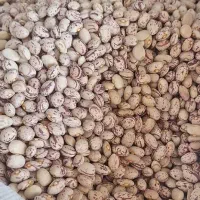 لوبیا چیتی درجه ۱ وشکسته  با کمترین قیمت