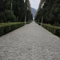 اجاره روزانه۲خوابه ساحلی بلوارمعلم مرکز رامسر