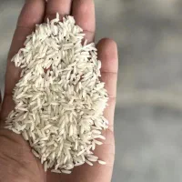 هاشمی لنگرود بسته ده کیلویی