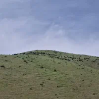 کلیه امور اداری مربوط به املاک