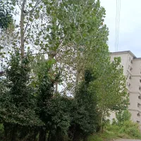 مالکم.مشارکت ساخت خ فردوسی غربی450مترششدانگ مسکونی