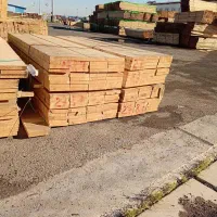 کاج روس بنایی ۵۶۴ کد‌وارداتی تخته خشکن رفته