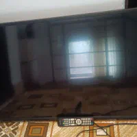 تلویزیون