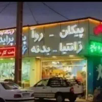 ساق سوپاپ  زانتیا