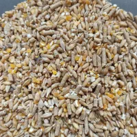 ریز و درشت اقتصادی