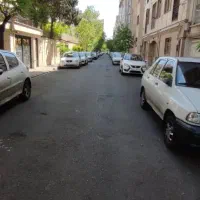 ۴۱۲متر کلنگی / زوج پالیزی / بهترین فرعی