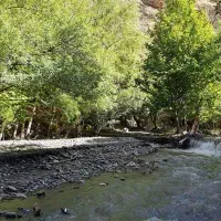 سرایدار و کارگر باغ فقط خانواده کم‌جمعیت شاندیز
