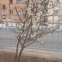 زمین مسکونی