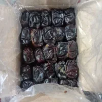 خرما|خوردنی و آشامیدنی|مشهد, کوی دروی|دیوار