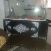 آکواریوم ماهی