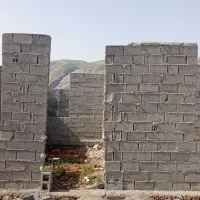 گله دونی