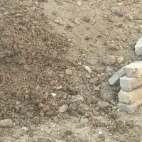 کود اسب