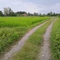 زمین مسکونی