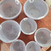 لگن ابکش