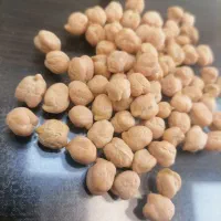 نخود امساله درشت سایز ۱۰ و ۹