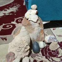 فروش انواع فسیل و سنگ های قیمتی چندین میلیون ساله