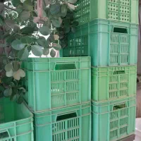 فروش تجهیزات ابمیوه و بستنی