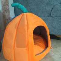 جا خواب گربه