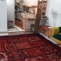 چهار راه شکرشکن اول احمد آباد  ک شهرام