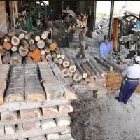 نیازمند یک استادکار برای کارگاه چوبری