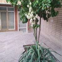 اجاره منزل