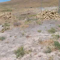 زمین ب متراژ ۵۰۰متر
