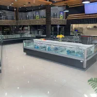 تولید یخچال پرده هوا موتور مرکزی یا سرخود