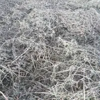 ینجه|لوازم جانبی حیوانات|تهران, تختی|دیوار