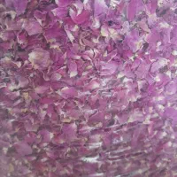 گل خشک ، غنچه درجه یک عالی