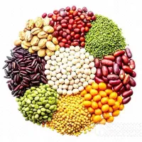 لوبیا  عدس  لپه  ماش * مواد غذایی  حبوبات ارزان شد
