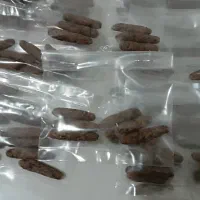 بهبود تضمینی بواسیر